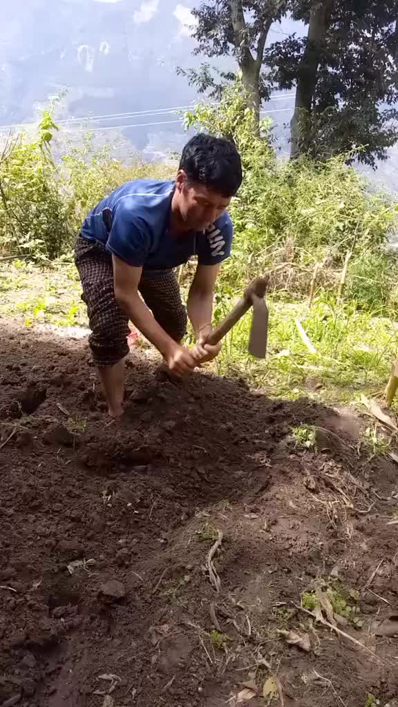 @sarjan shahi