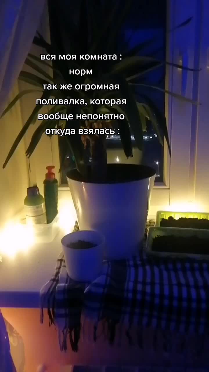 @германофил🐛
