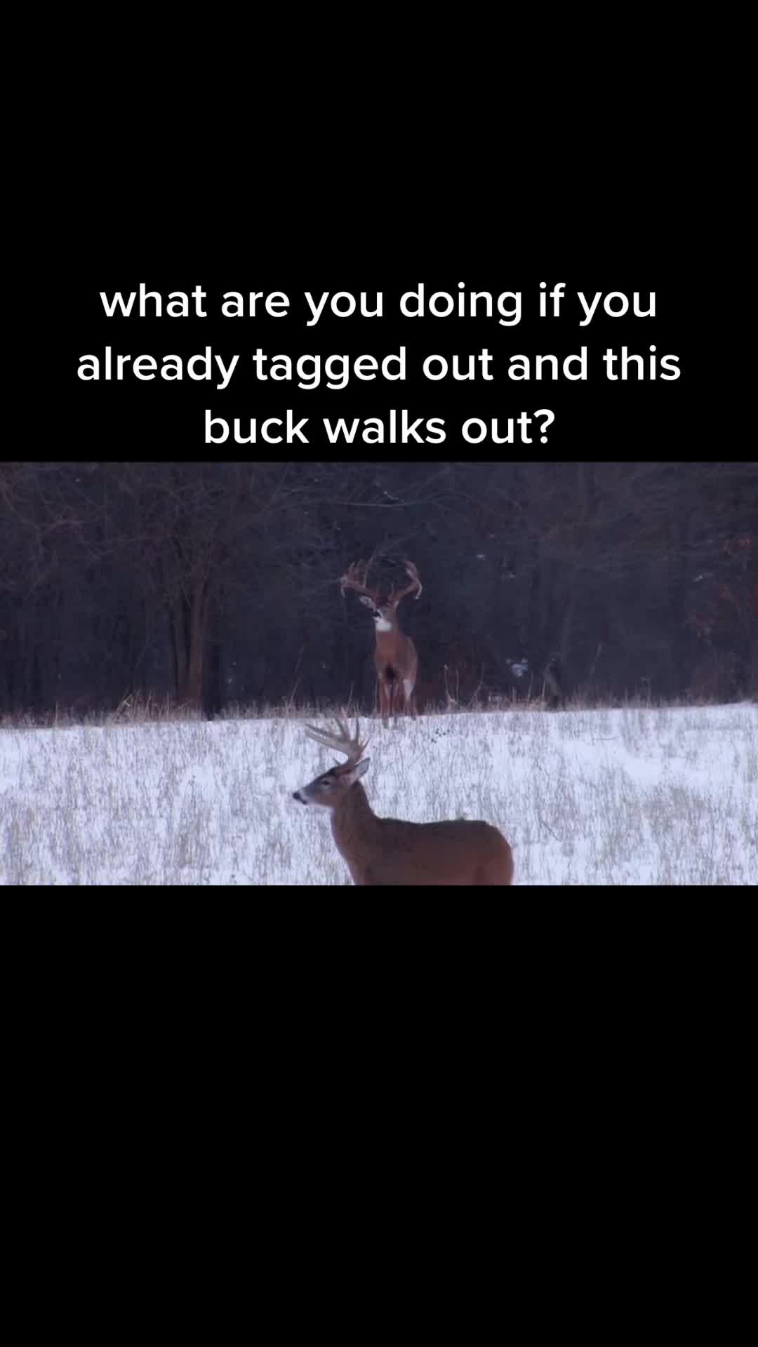 @Sauer6.6