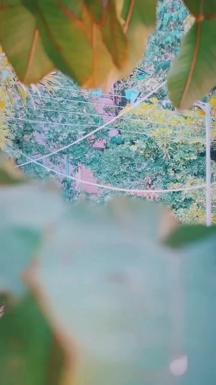 @ishika.44