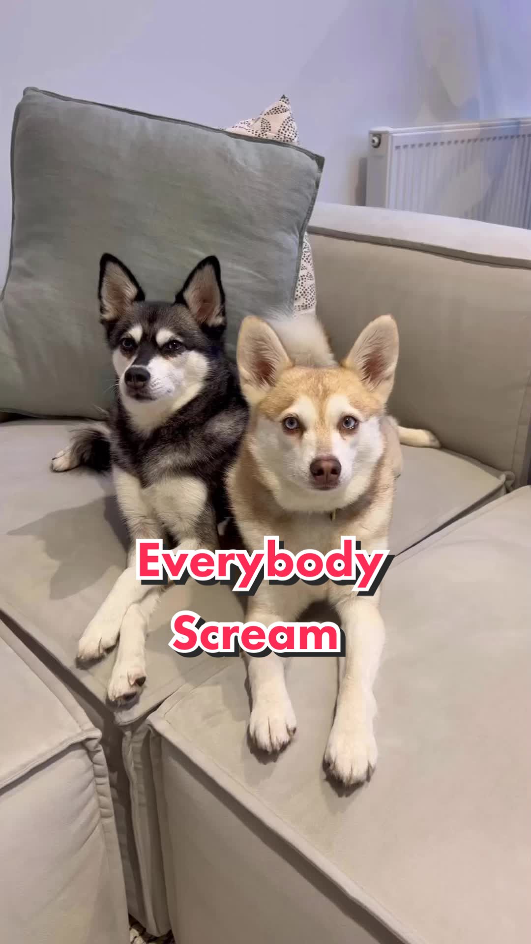 @lifewithkleekai