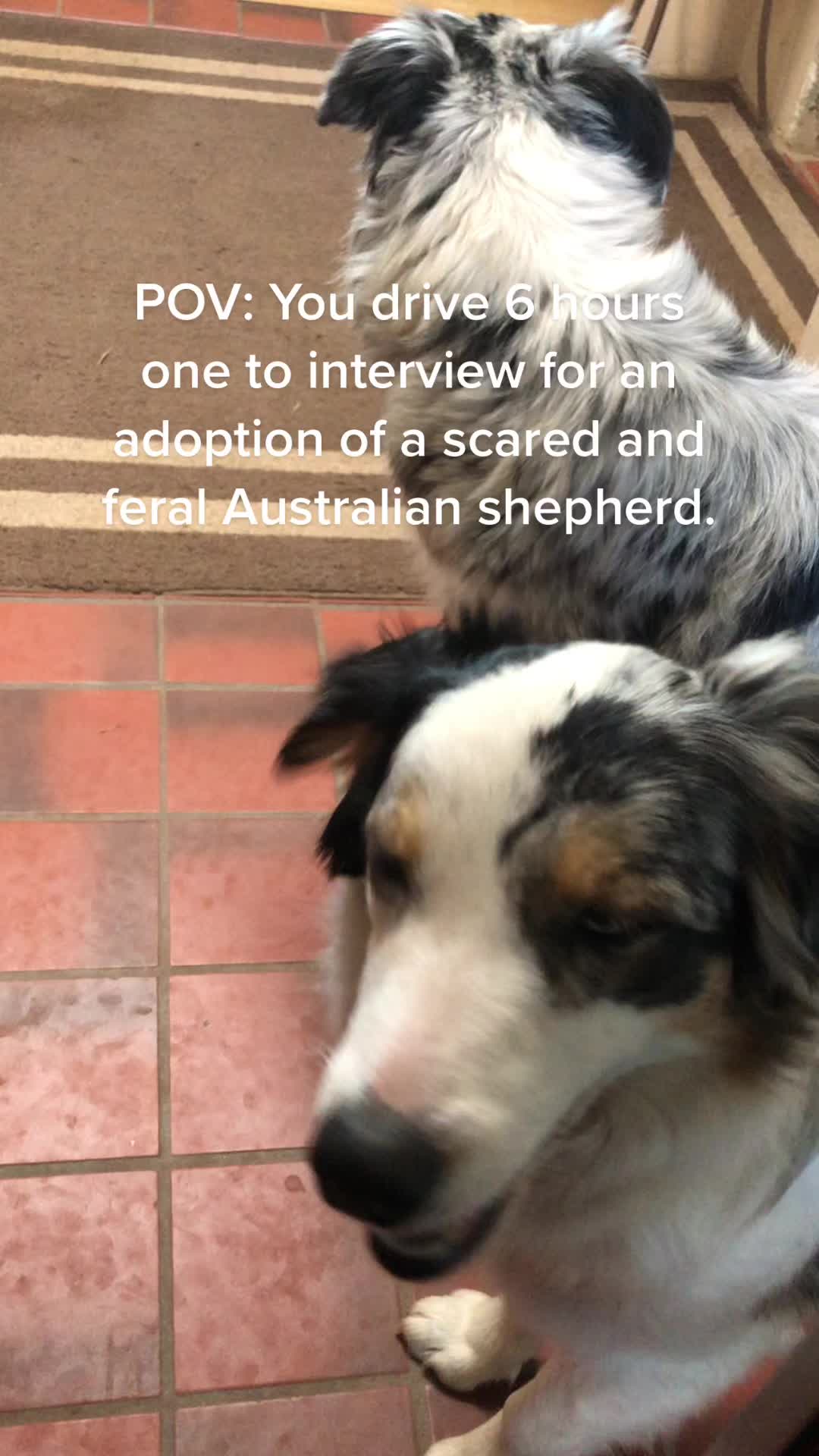 @seeingdoublemerle