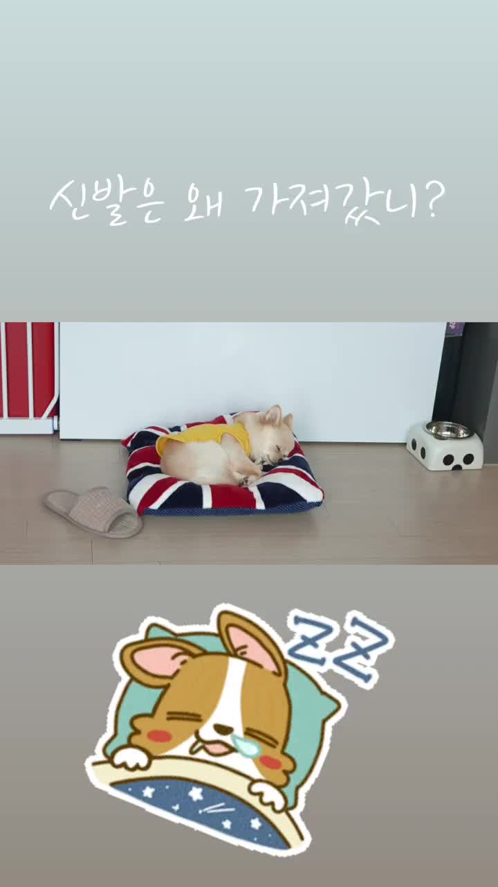 @유희진728