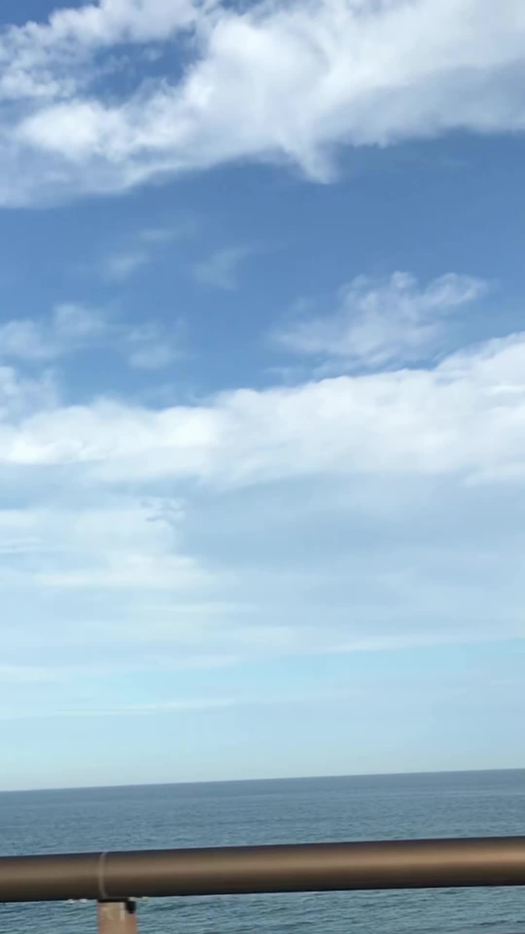 @︎︎