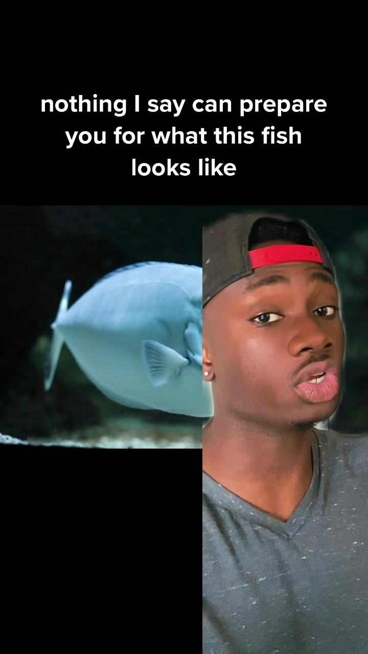 @mndiaye_97