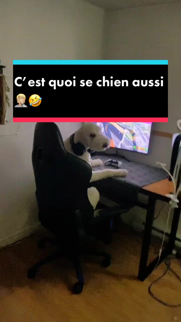 @🇨🇦.CAN🇨🇦