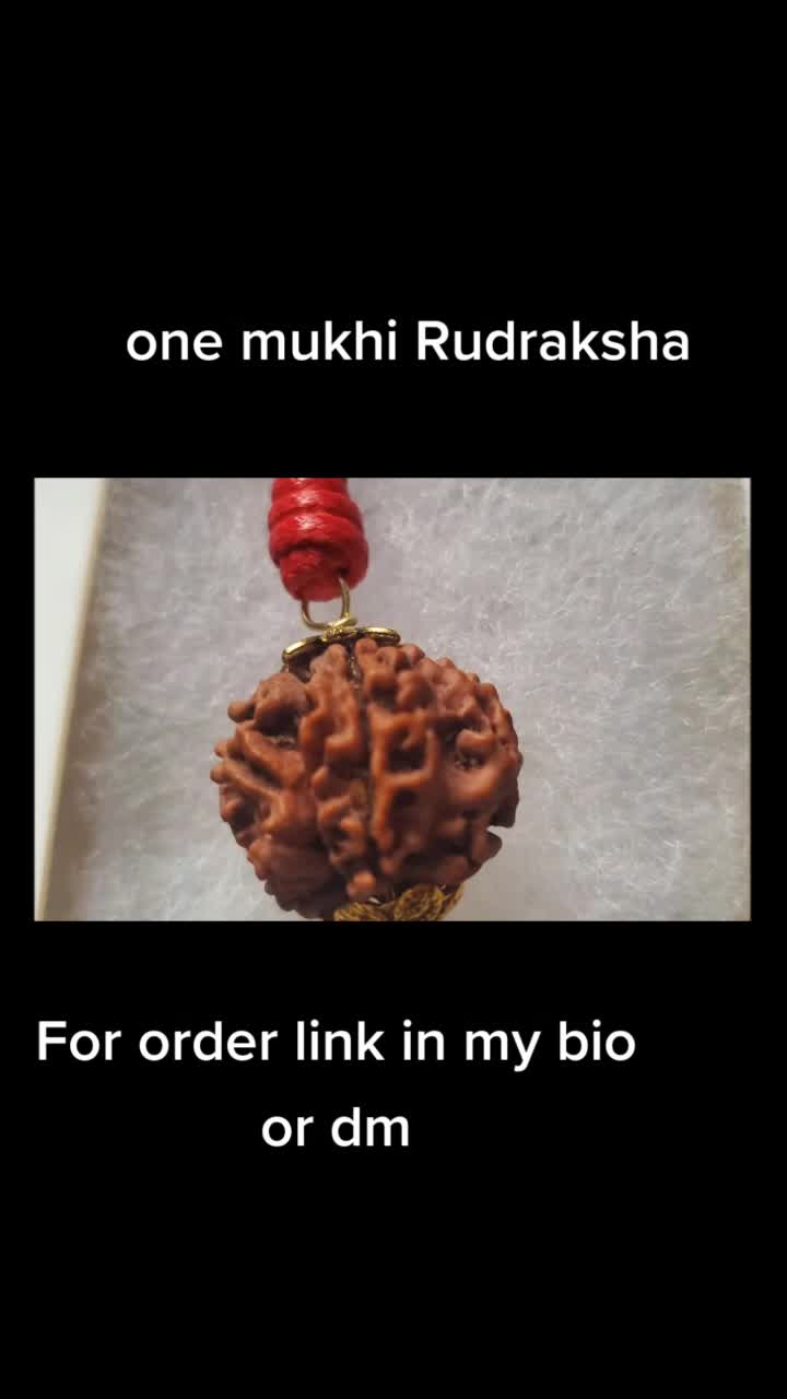 @nepal rudraksha