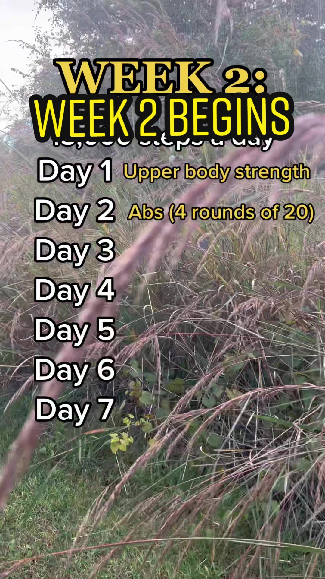 @La&rsquo;Teese | 25lb COVID to lose