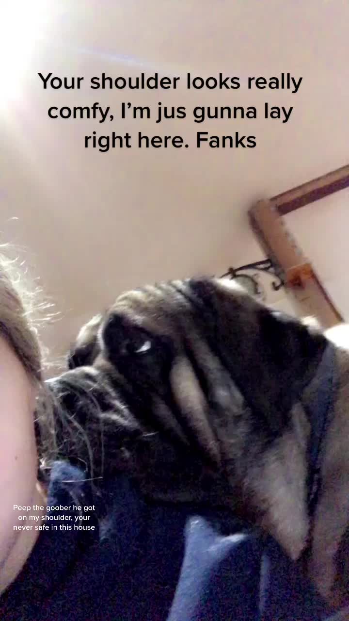 @Emmalee
