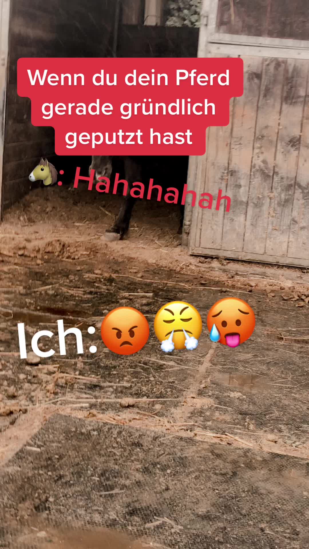 @Pauline
