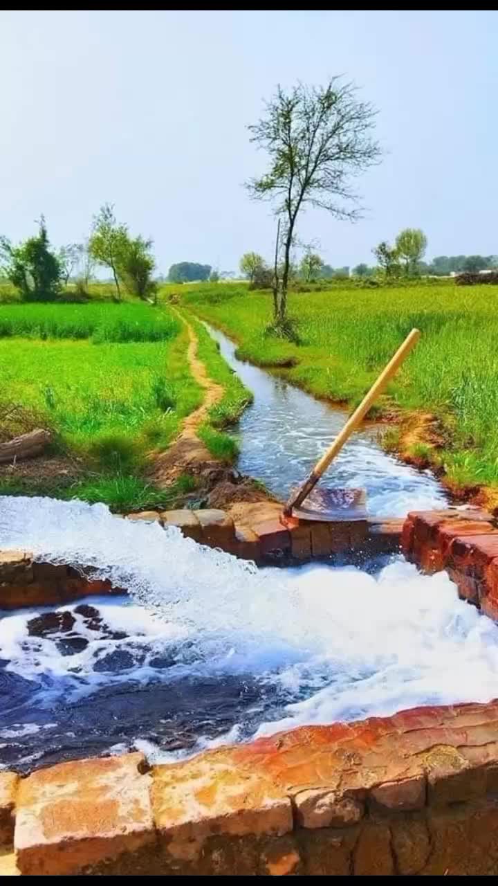 @farazmalik555