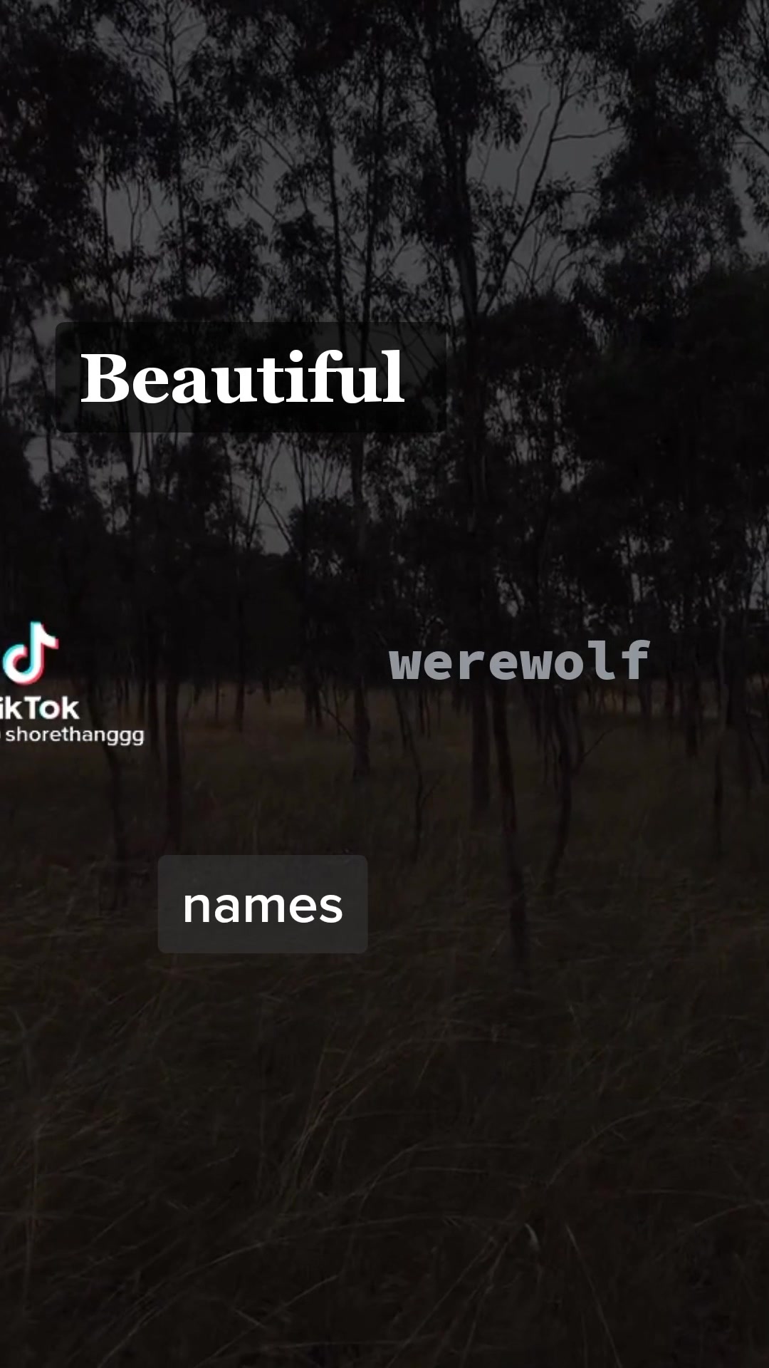 @<3