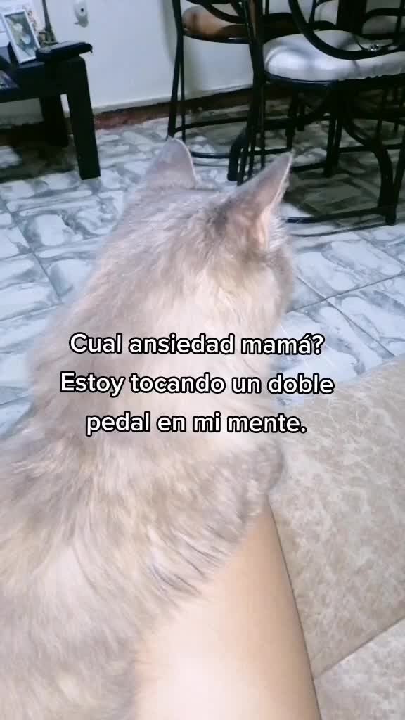 @🪐✧