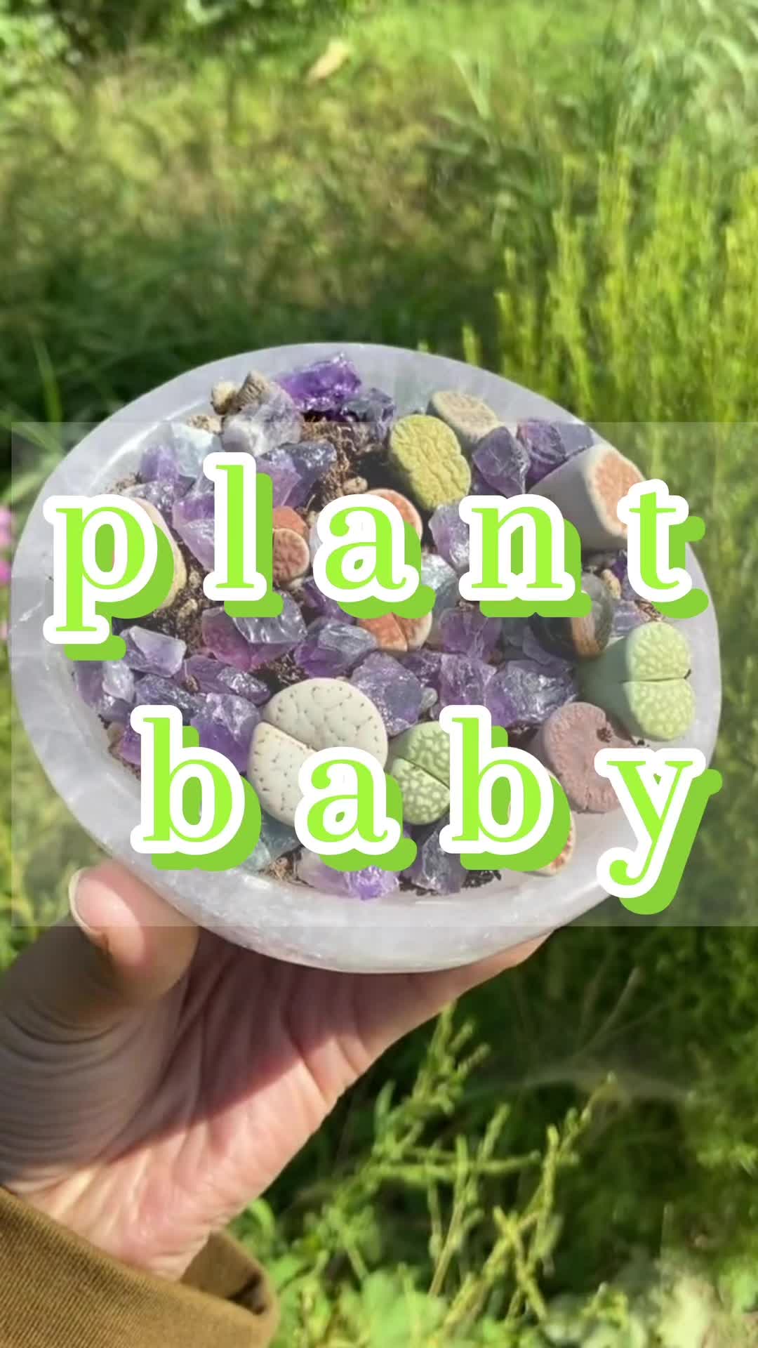 @7ColorCrystals