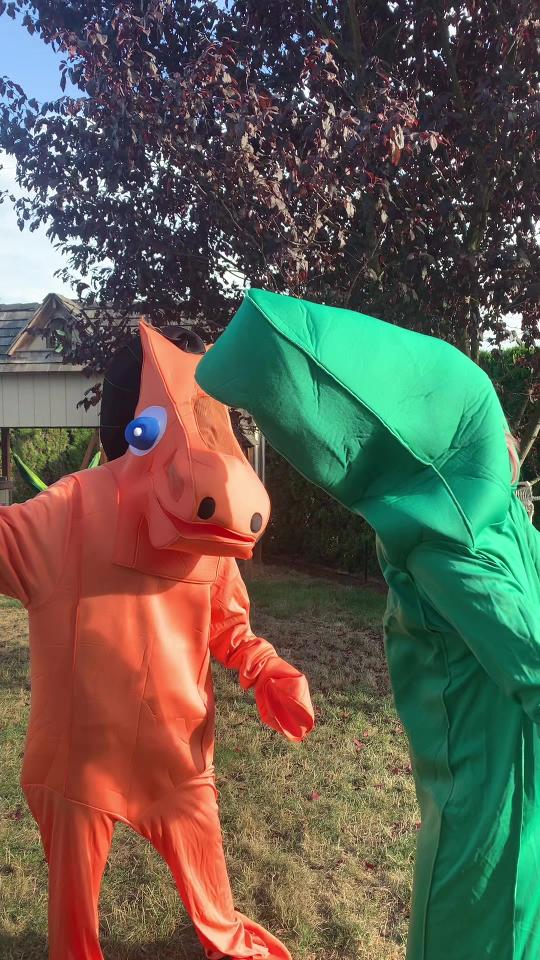 @averyhungrycaterpillar_6
