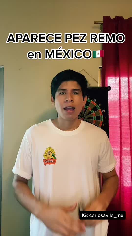 @Carlos Avila