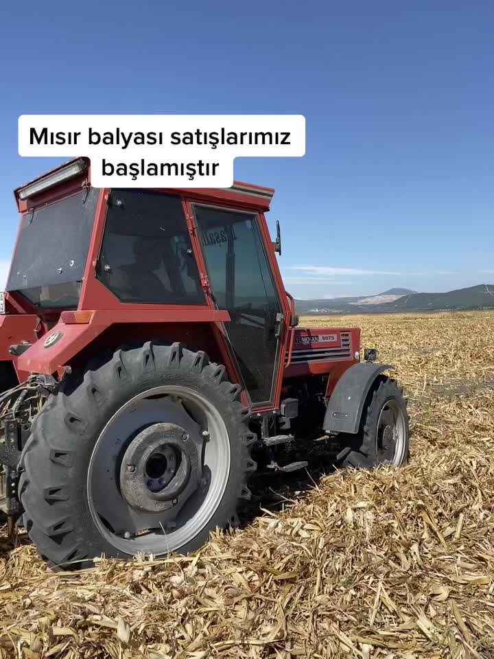 @solmaz_.tarm