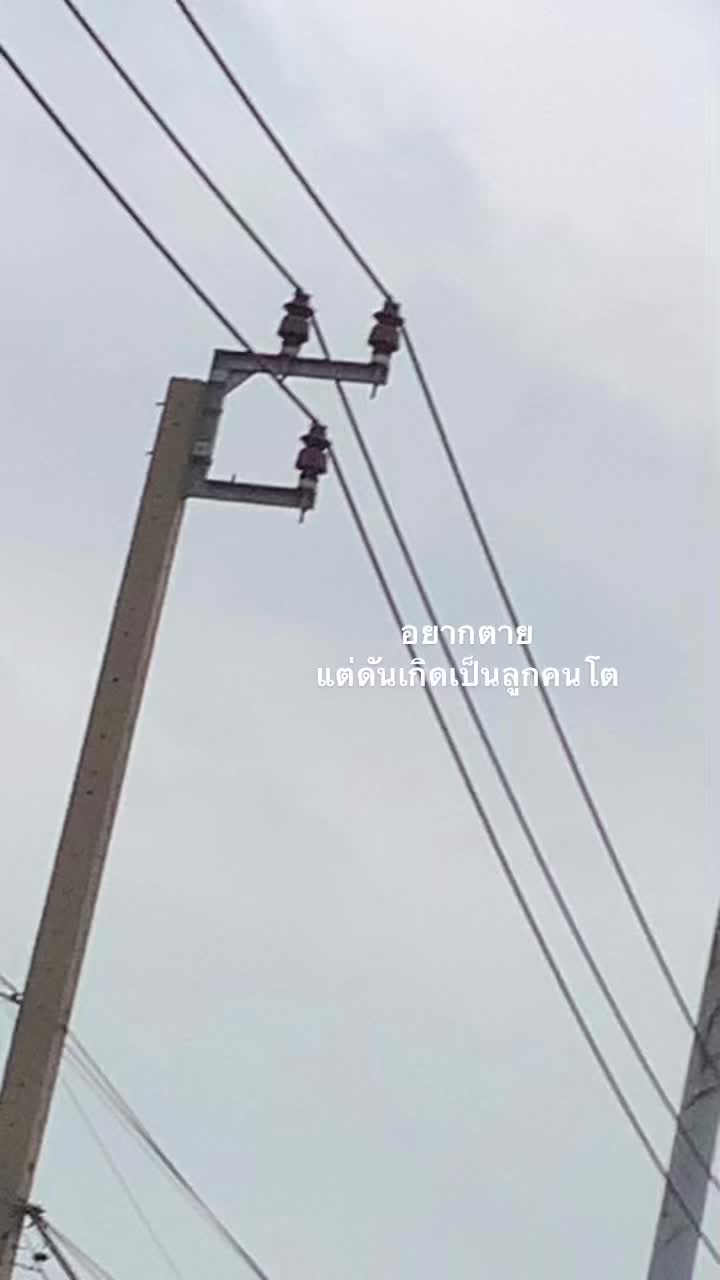 @เด้ก วิสุทธิ์