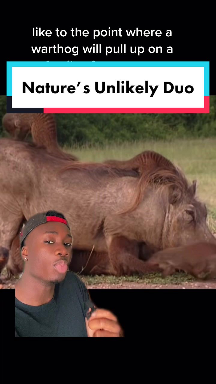 @mndiaye_97