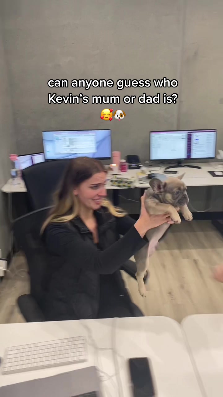 @SnapWireless HQ