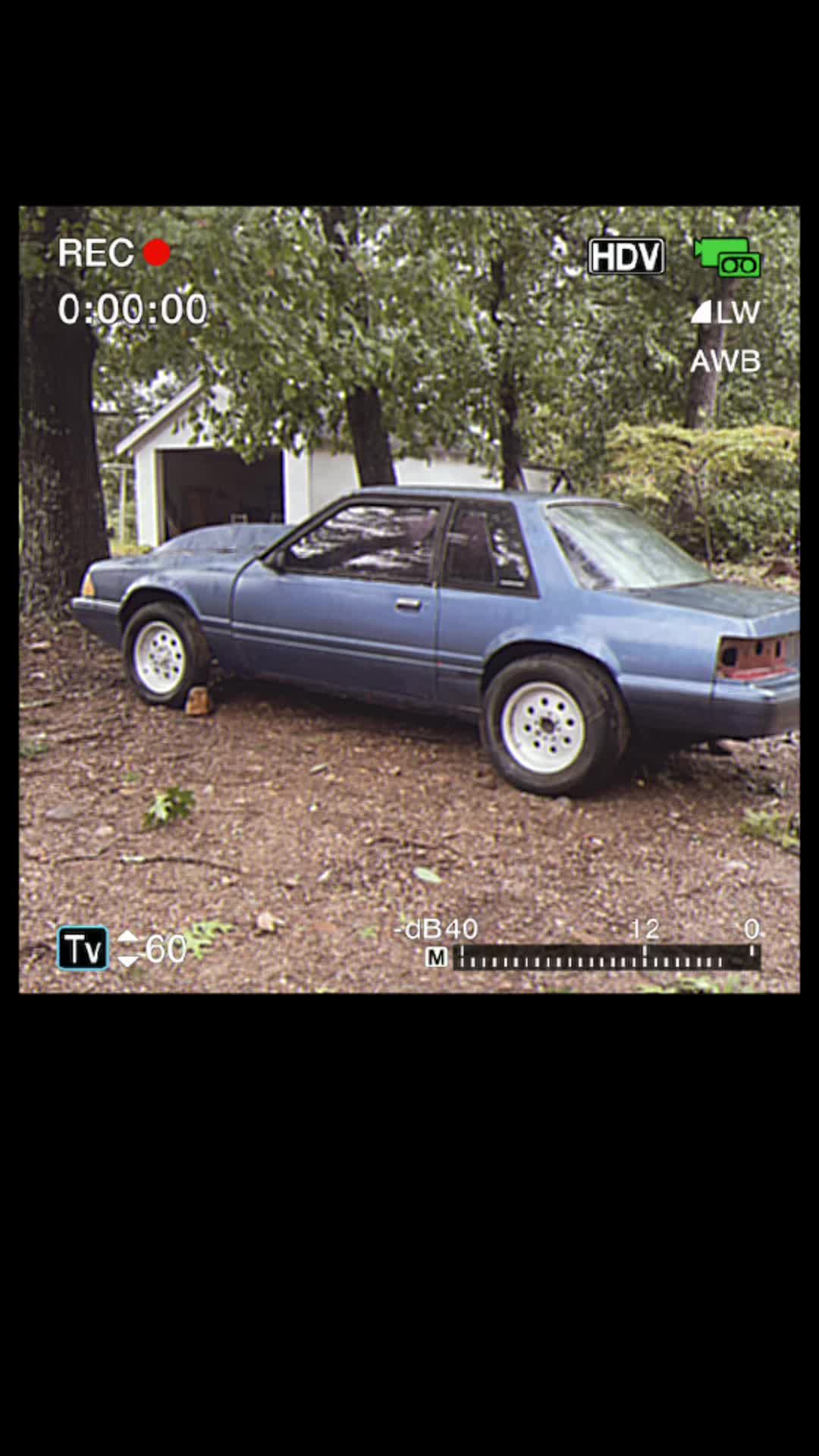@1990 methstang lx