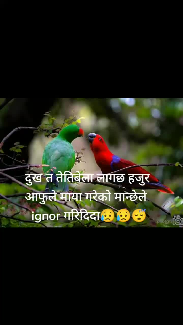 @D K Sharma2058