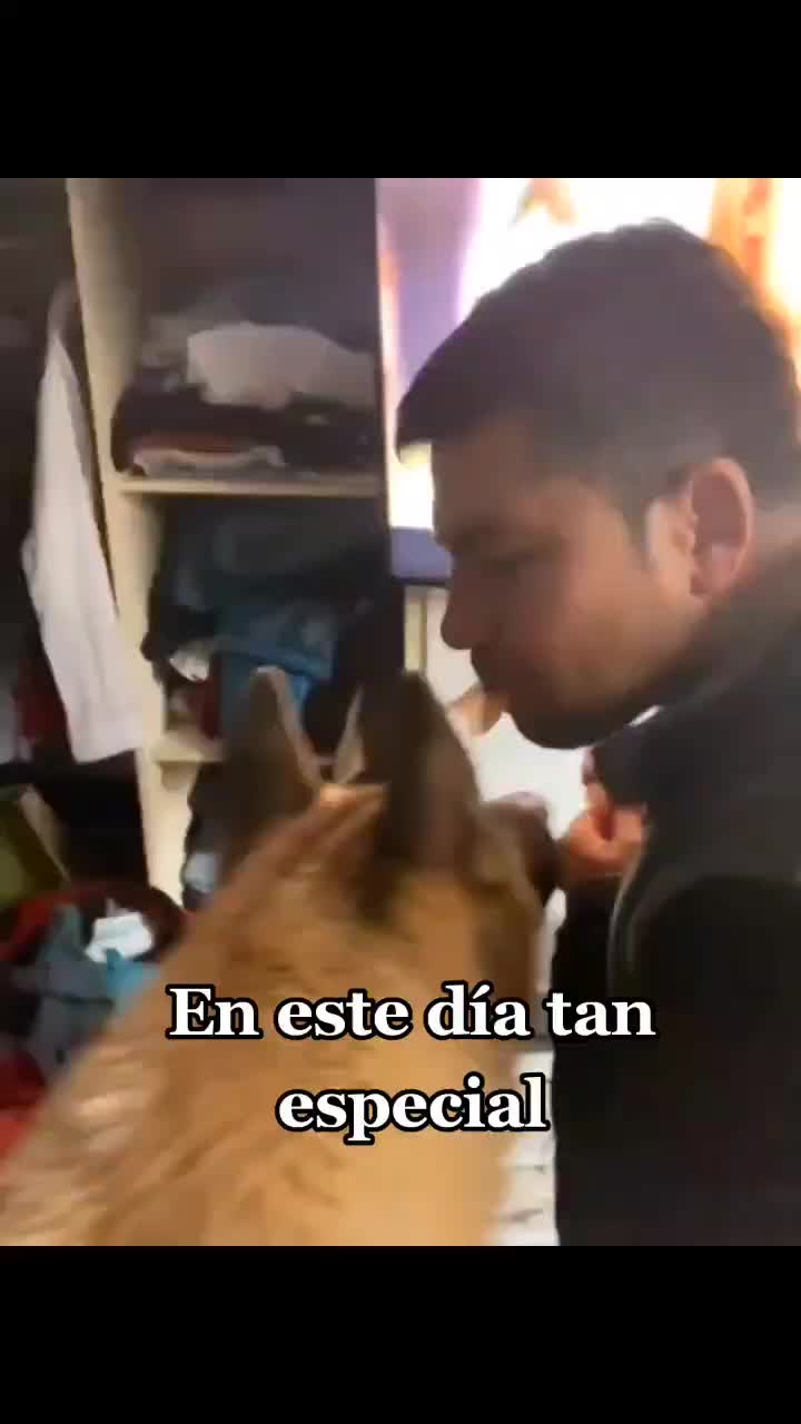 @VetModoAnimal