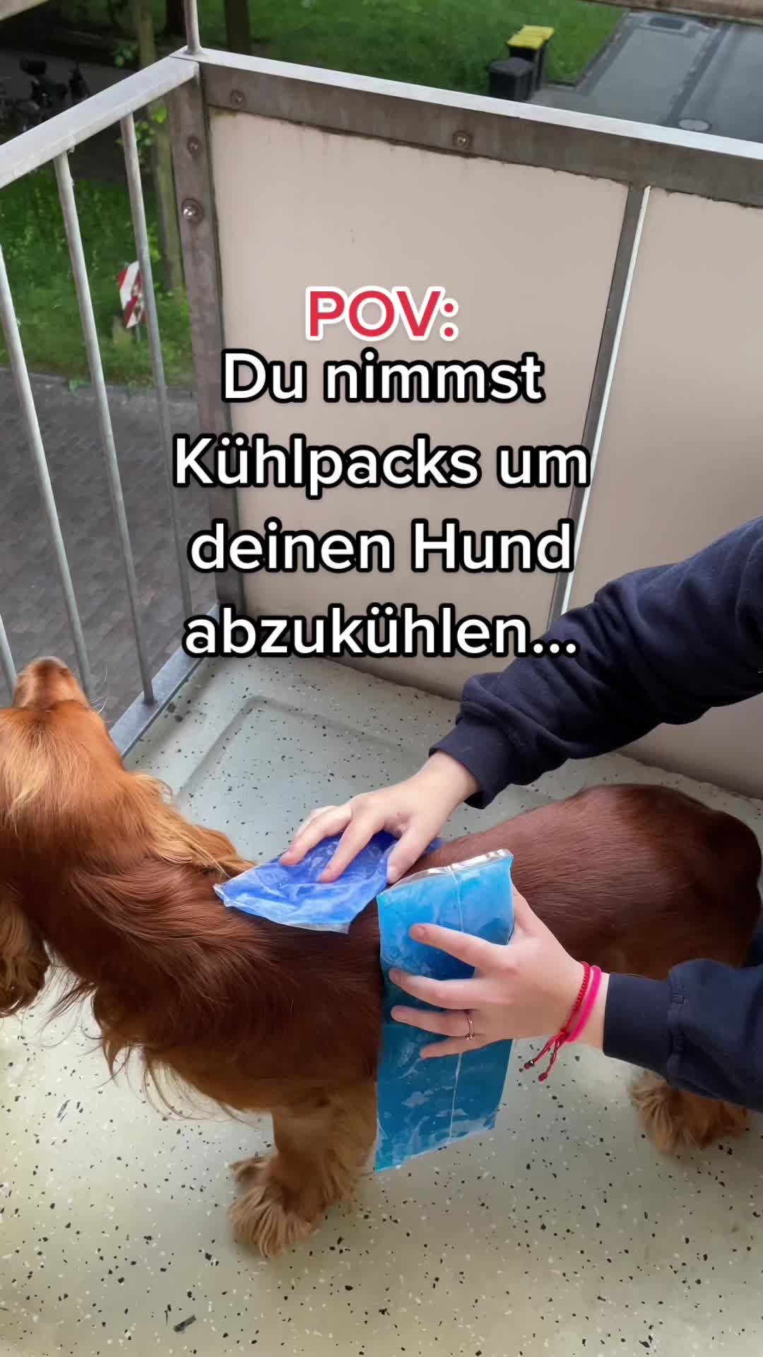 @Emmalove-DE