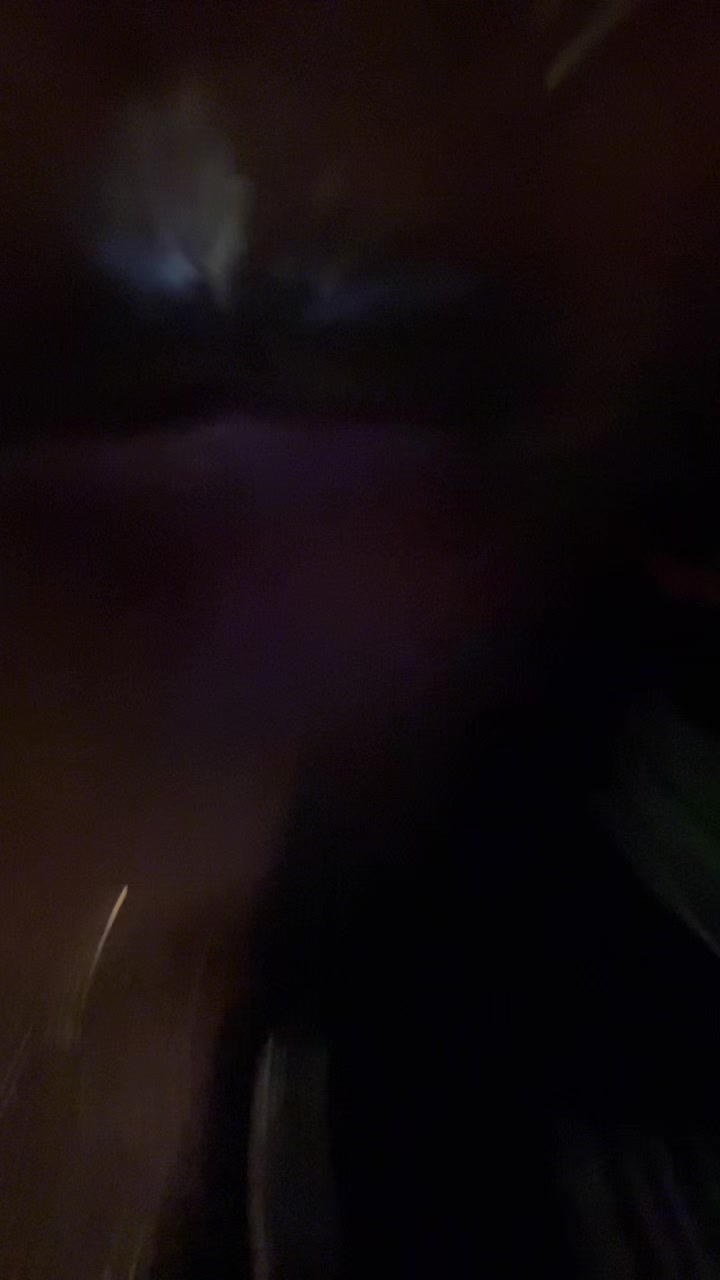 @Telane._