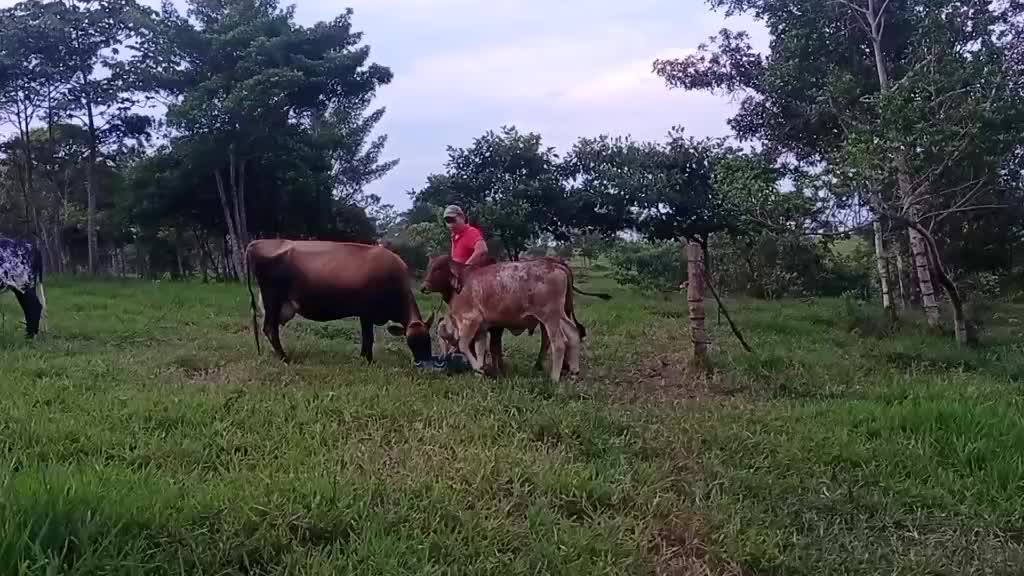 @gonzalezpaezjimmy