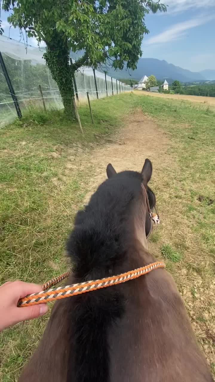 @Untraitdecheval