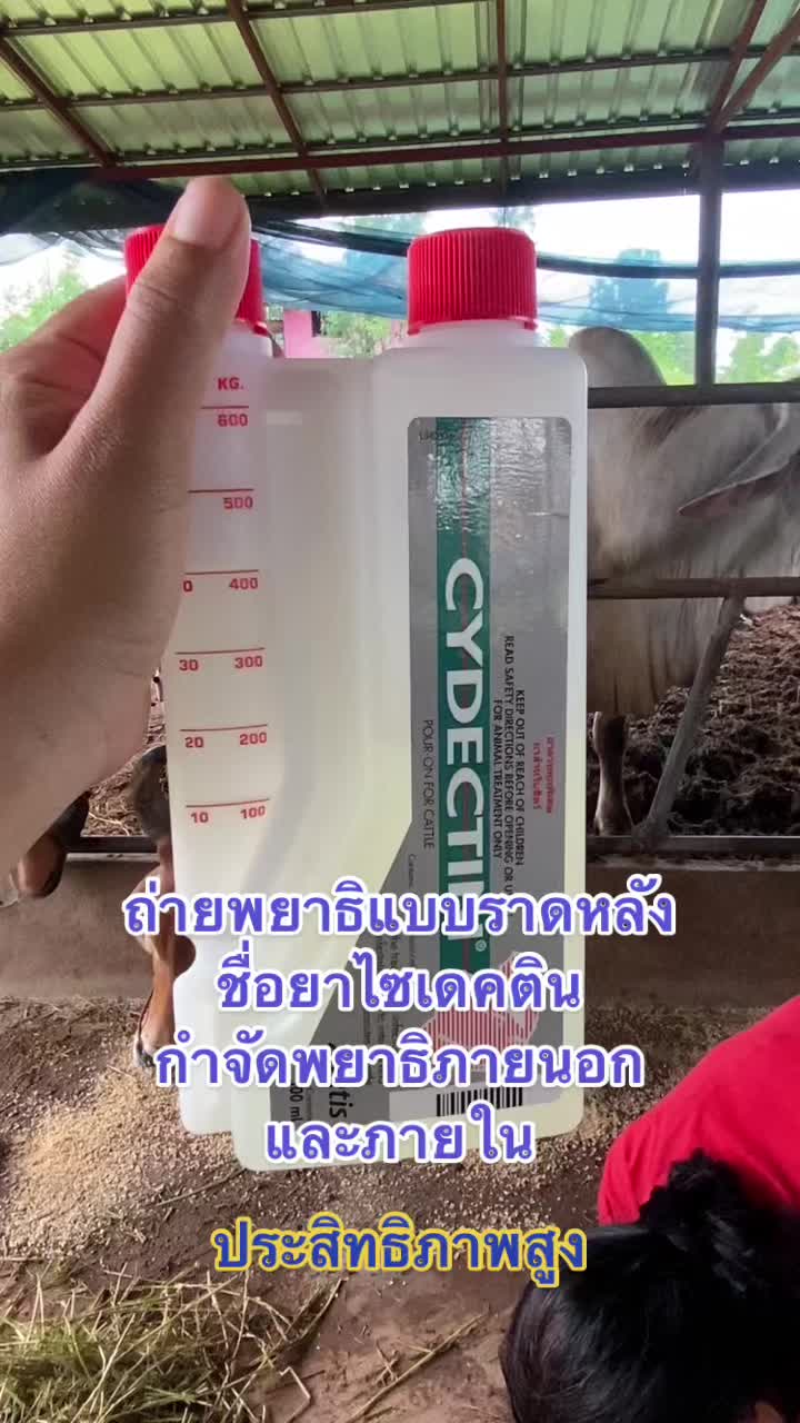 @นัดดาชอป