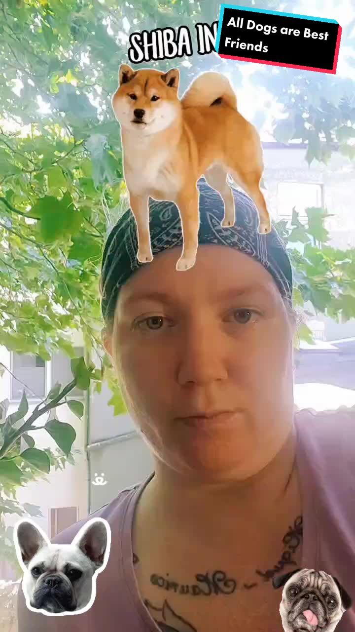 @LuckyCrazyPrincessOfWinter📺🐶