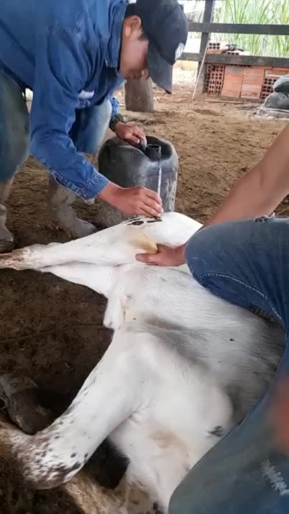@gonzalezpaezjimmy