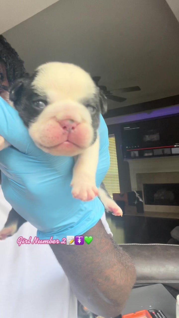 @BulldogMafiaGroup