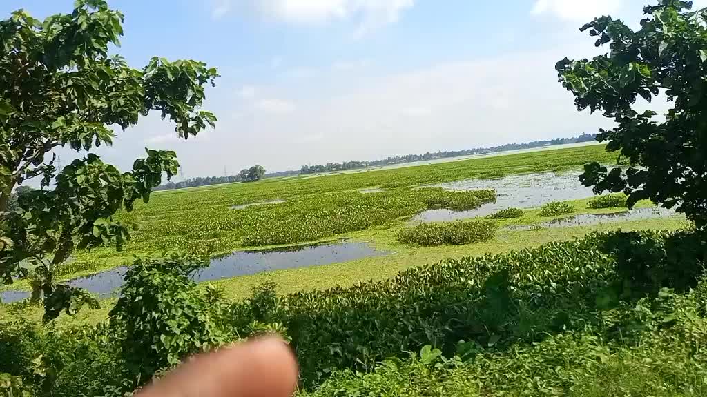 @🍁_অশ্লীল কবি_🍁