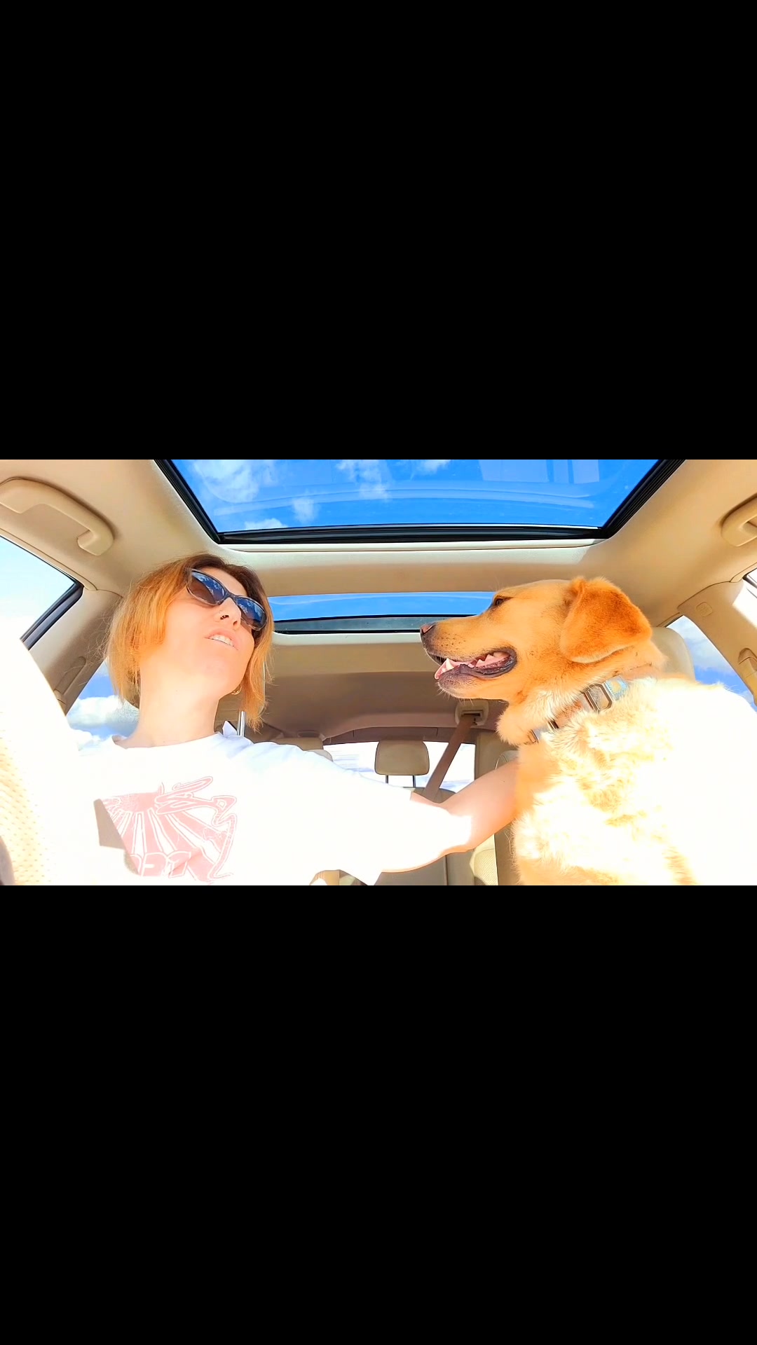 @Dogmom