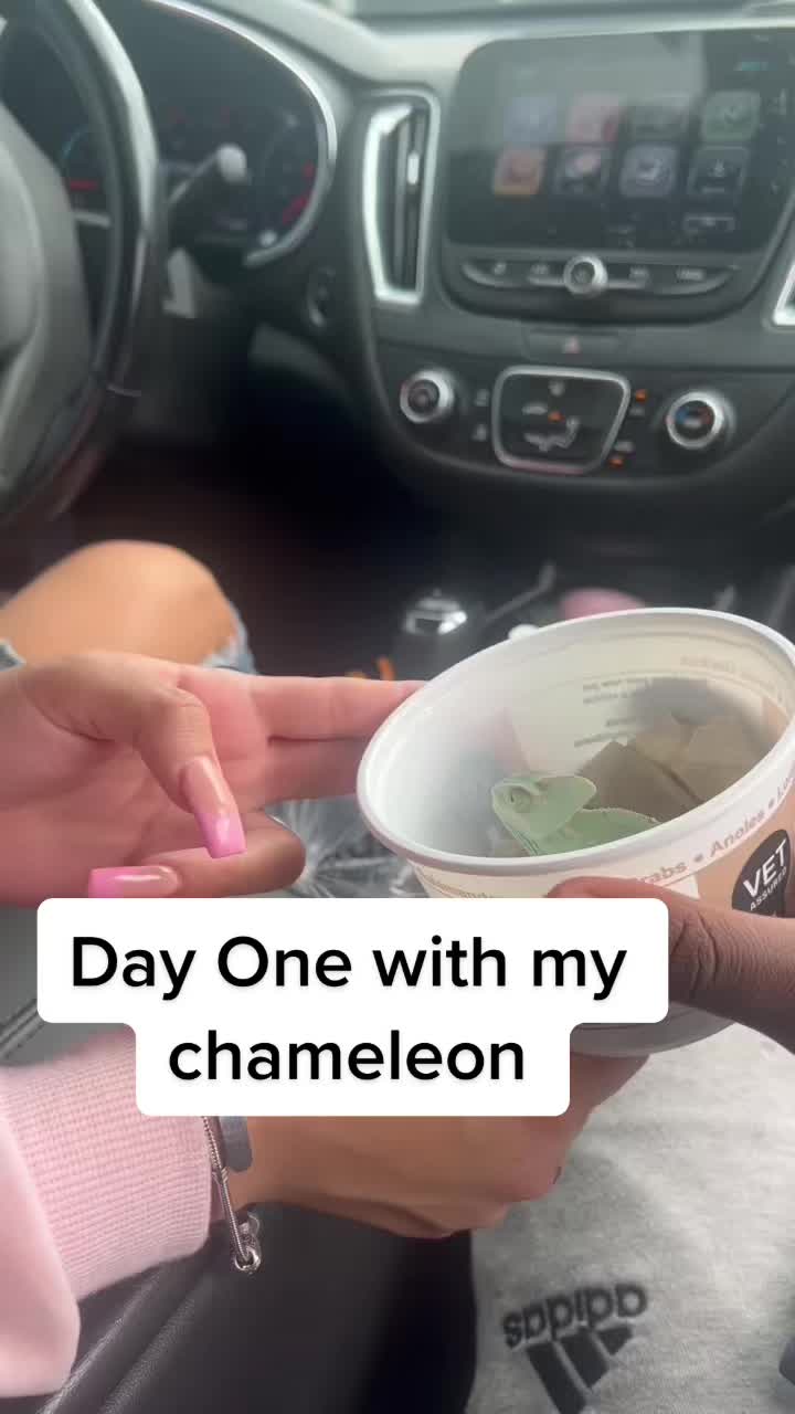 @Angie Bonilla