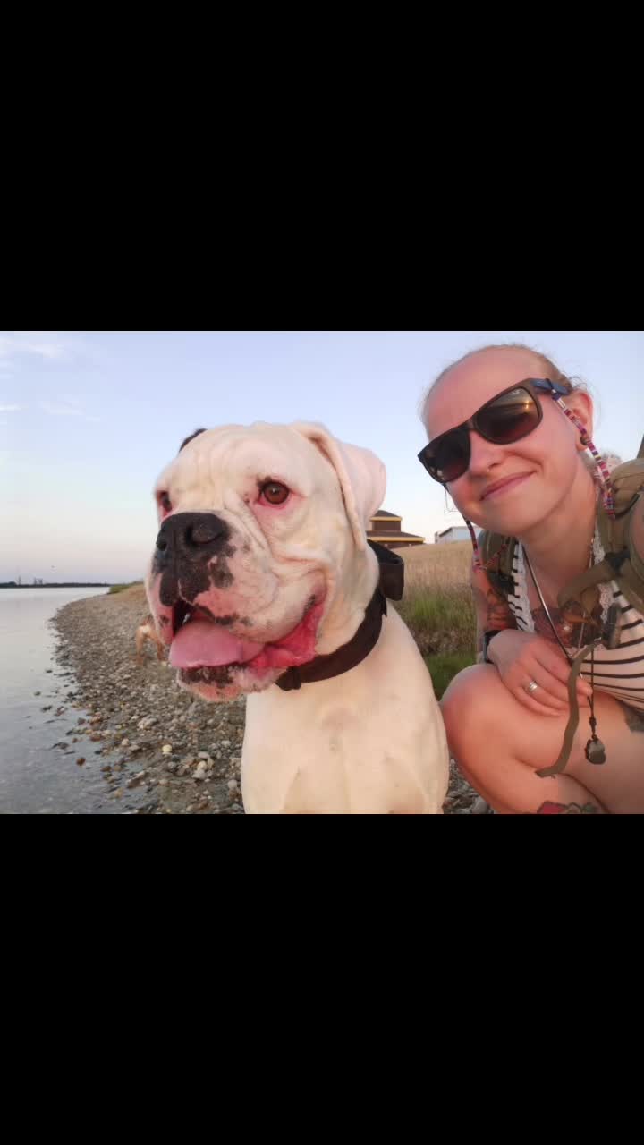 @proudboxermom