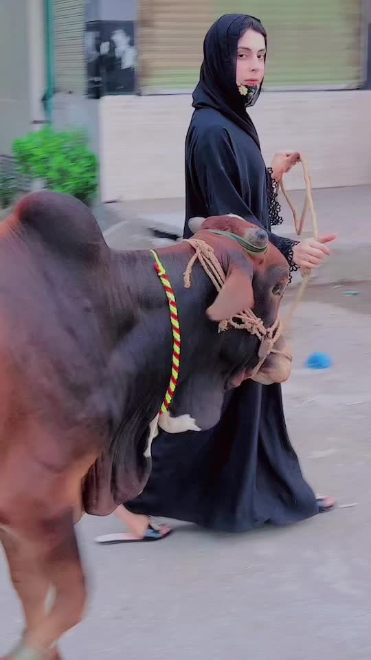 @Haseenapathani