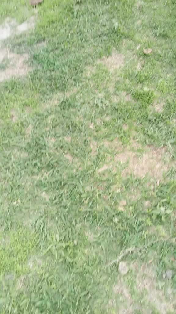 @karolybaldur