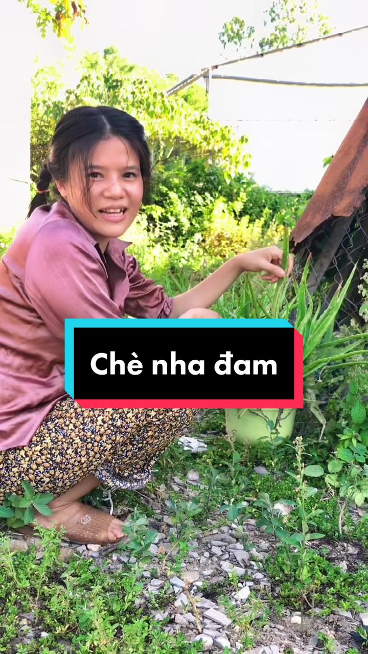 @Giađ&igrave;nh TậpTu