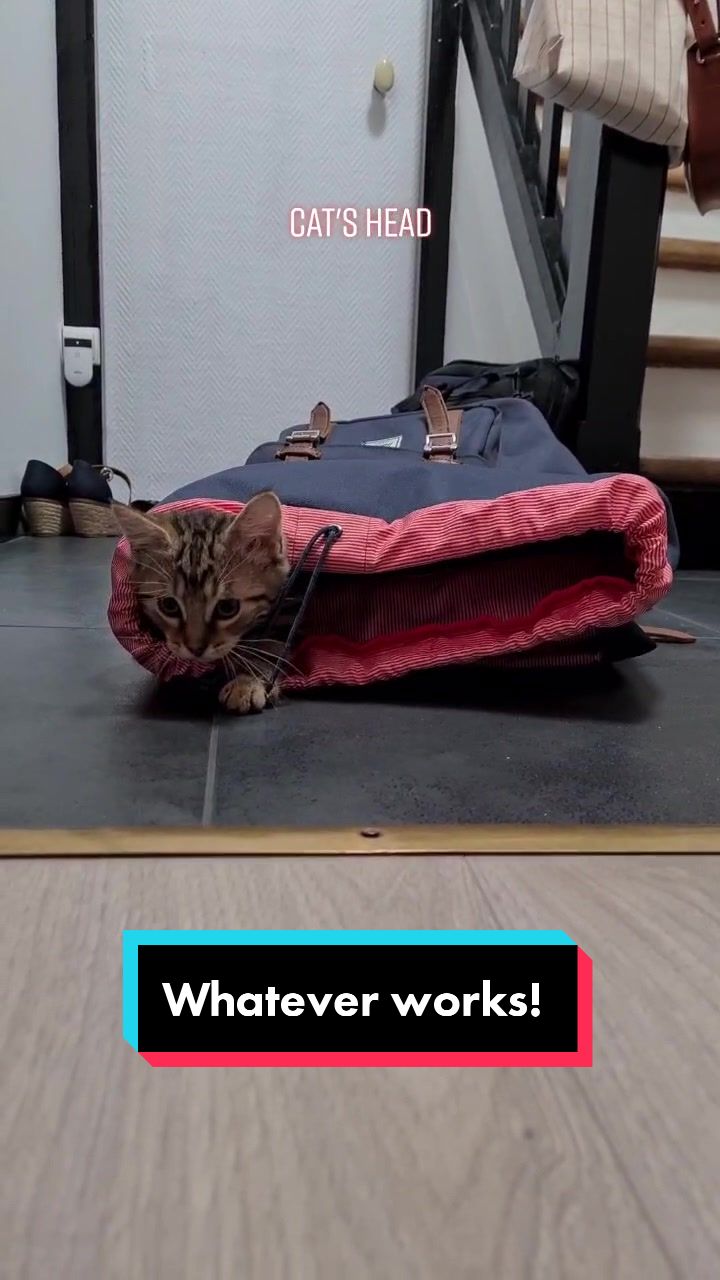@TsukiTheCat