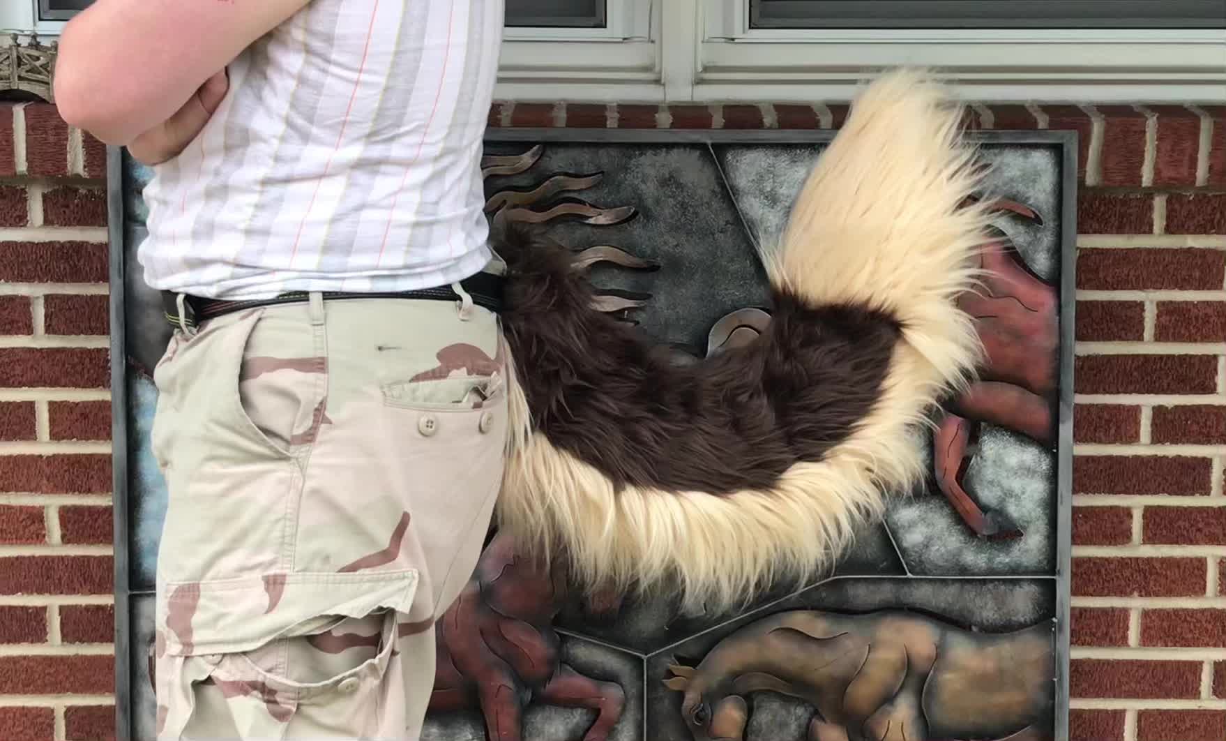 @Butterscotch Biscuit Fursuits