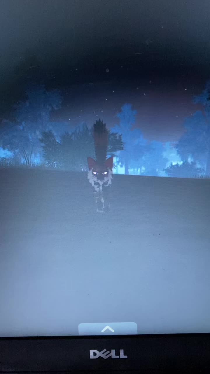 @𝐶𝑎𝑝𝑡𝑎𝑖𝑛 𝑆𝑝𝑎𝑟𝑟𝑜𝑤
