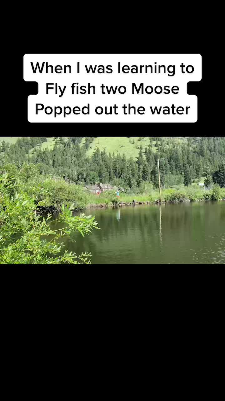 @CangiFishingTV