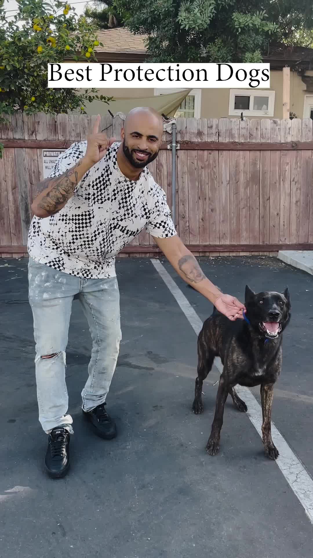 @Cali K9