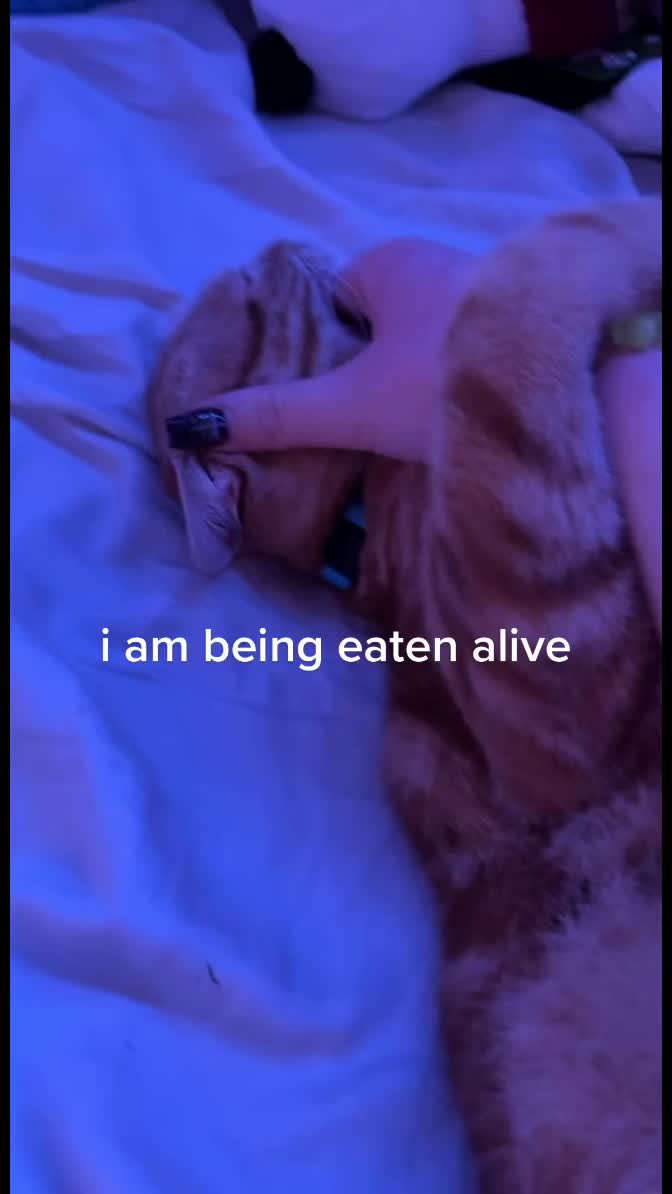 @jj