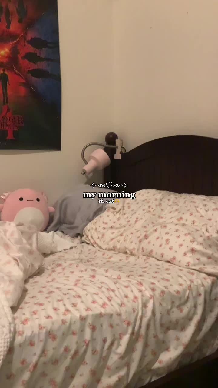 @🍁🎧🫶💌🍂