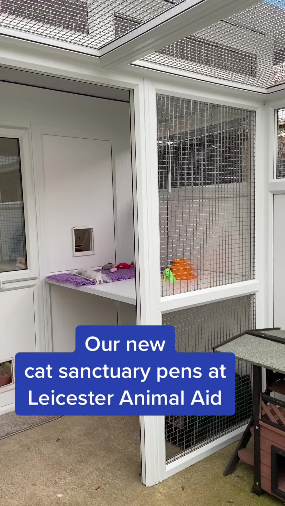 @LeicesterAnimalAid